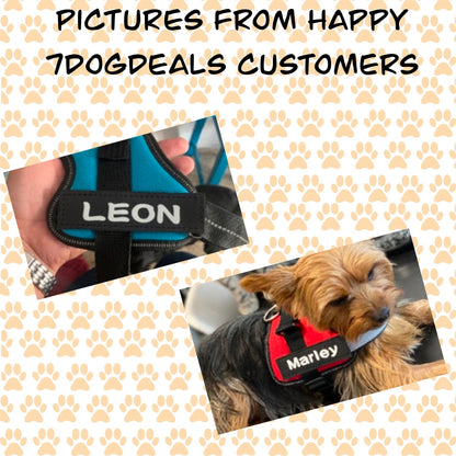 Custom velcro label / patches for Dog Harness