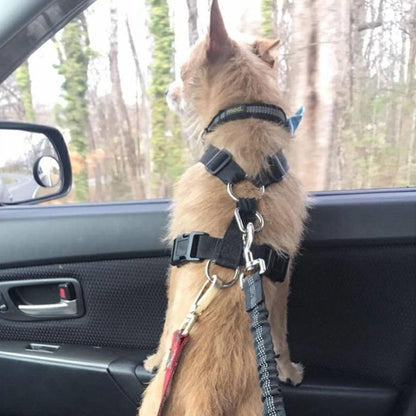 Safety Seat Belt for Dogs Adjustable & Anti - slip