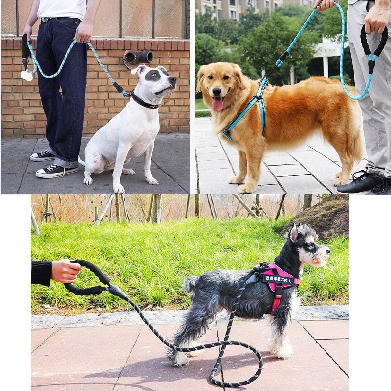 Premium Quality Nylon Reflective Dog Leash